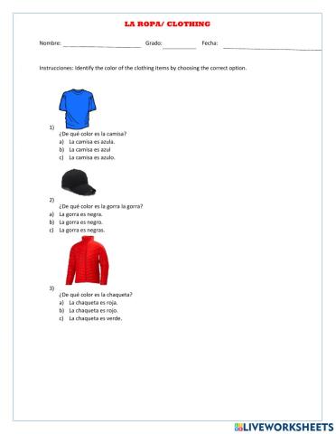 La ropa- Clothing