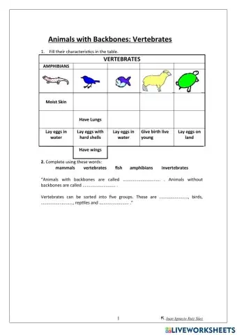 Vertebrates Animals 2