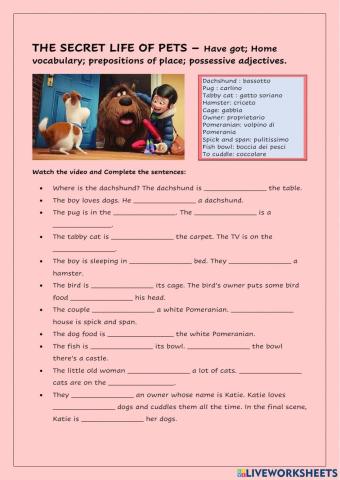 Possessions - The Secret Life of Pets