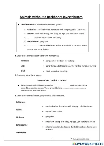 Invertebrate Animals