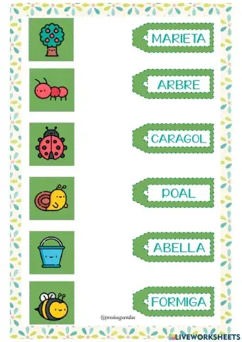 Vocabulari primavera