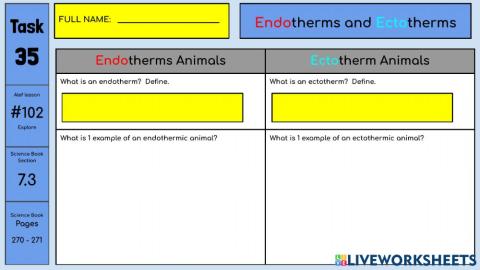 Endotherms - Ectotherms - Traits of Birds