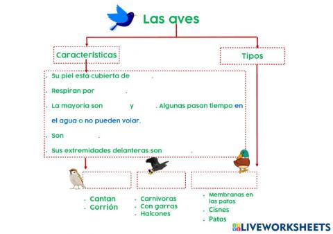Las aves y los reptiles
