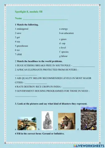 Spotlight 8, module 5B