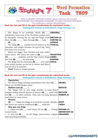 Spotlight 7 Task 7809