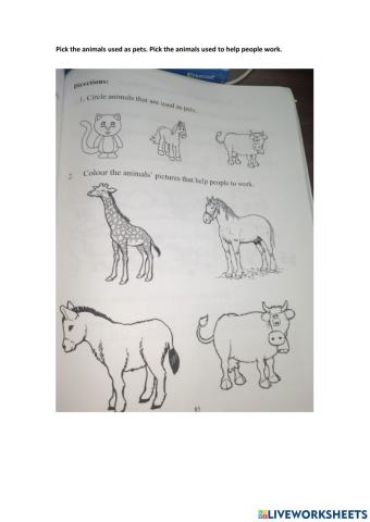 Ways people use animals