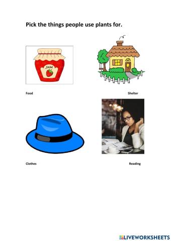 Ways people use plants