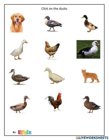 Click on the ducks