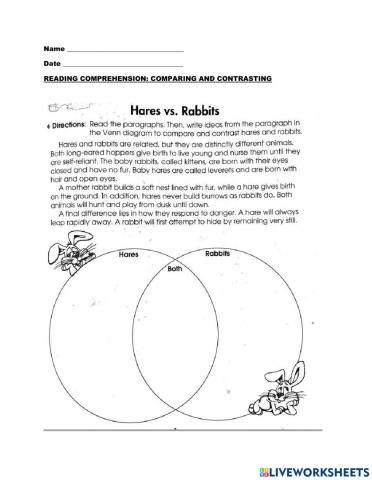 Comparing and Contrasting