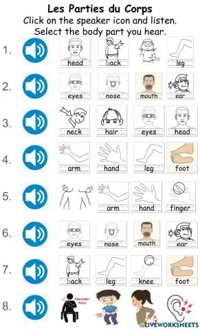 Les Parties du Corps-Listening
