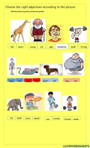 It's a beautiful day