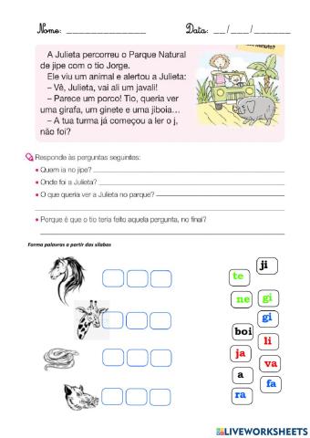 Viagem na terra do JOTA