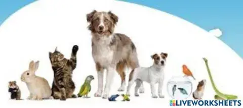 Animales domésticos