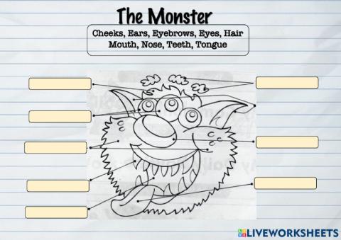 Parts of the Body (face)