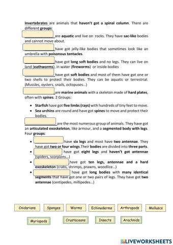 All about Invertebrates