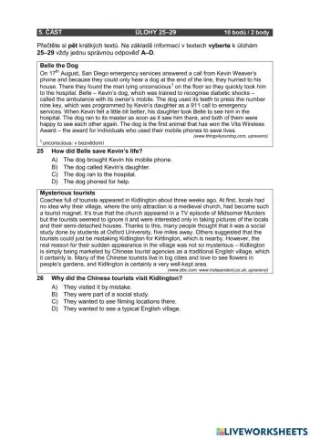 Maturita reading (Czech Republic)
