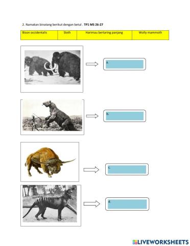 2.1 Namakan binatang yang hidup pada zaman Air Batu Akhir