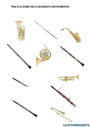 INSTRUMENTS DE VENT