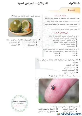 اسئلة مراجعة التقويم القسم 1