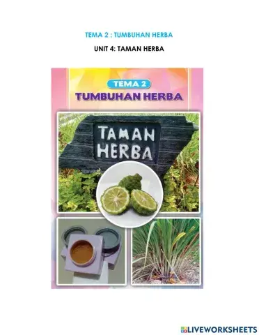 Tema 2: tumbuhan herba