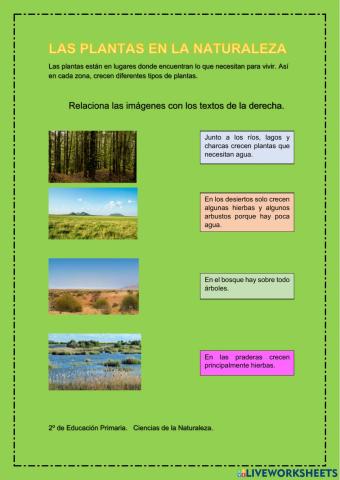 Las plantas en la naturaleza