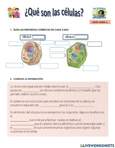 ¿Qué la célula?