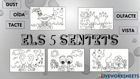 Els sentits