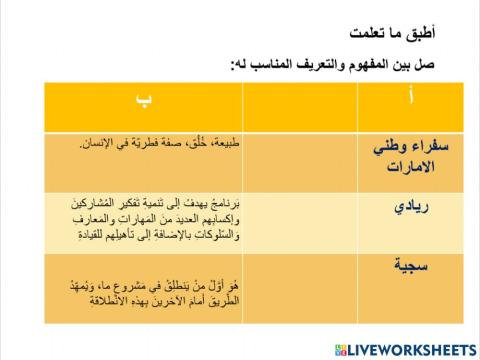 .زايد وحلم الشباب