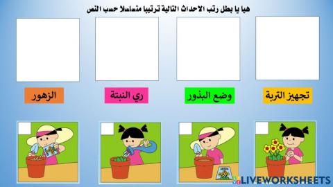 ترتيب الاحداث