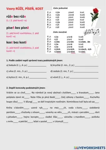 Vzor růže, píseň, kost