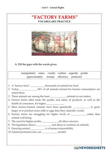 Unit 5 -Animal Rights- FACTORY FARMS