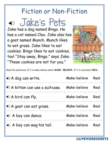 Fiction or Non-Fiction 1 DJ