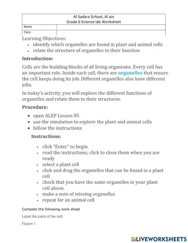 Plant and animal cell