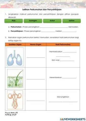Tahun 4 Perkumuhan dan Penyahtinjaan