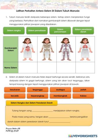 Tahun 5 Perkaitan Antara Sistem Di Dalam Tubuh Manusia