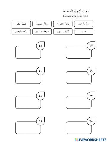 اليوم الرياضي المدرسي - الأرقام والأعداد