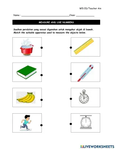Measure and use numbers