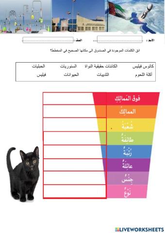 مجموعات التصنيف