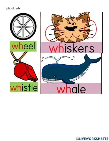 Phonic wh,ph,ew,oe,au