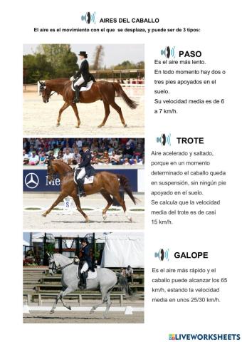 LOS AIRES DEL CABALLO