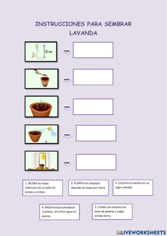 Instrucciones sembrar