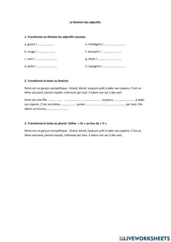 Le féminin des adjectifs