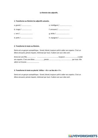 Le féminin des adjectifs