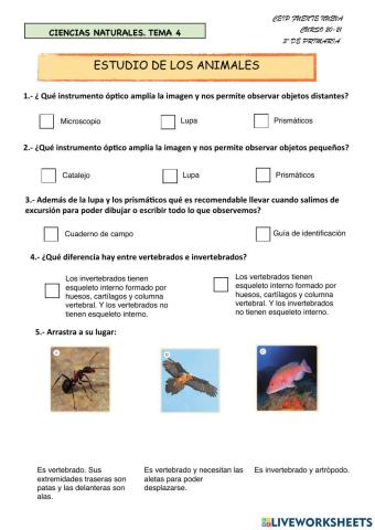 Estudio de los animales