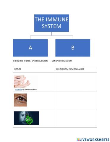 Barriers to pathogens
