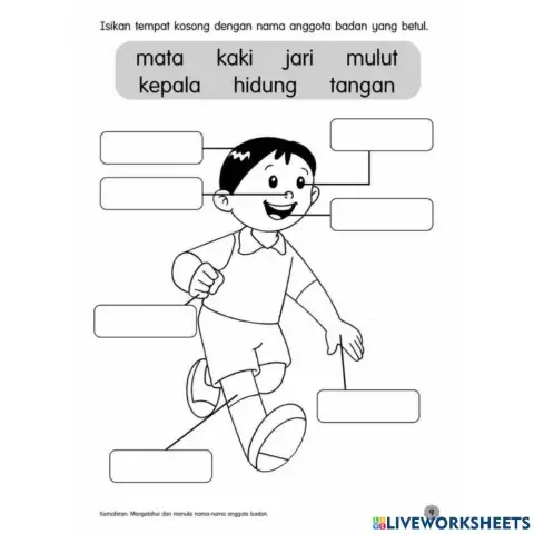Mengenal anggota badan