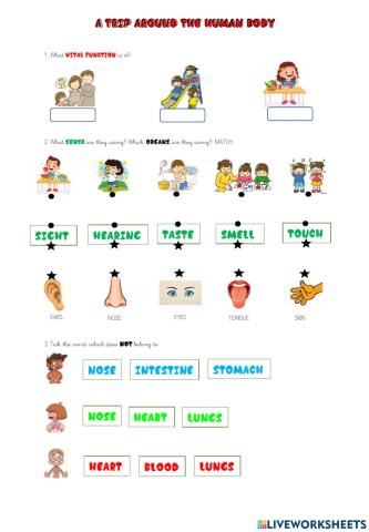 A trip around human body