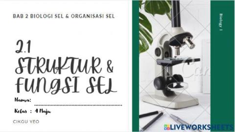 2.1 struktur dan fungsi sel