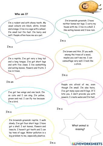 Insects descriptions