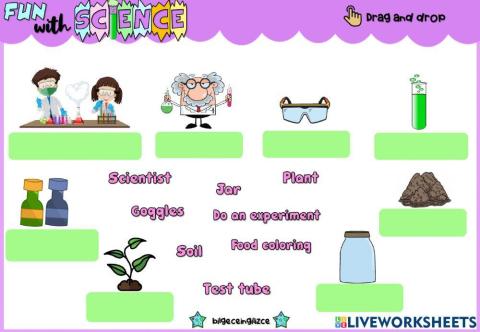 Science (Drag and drop)